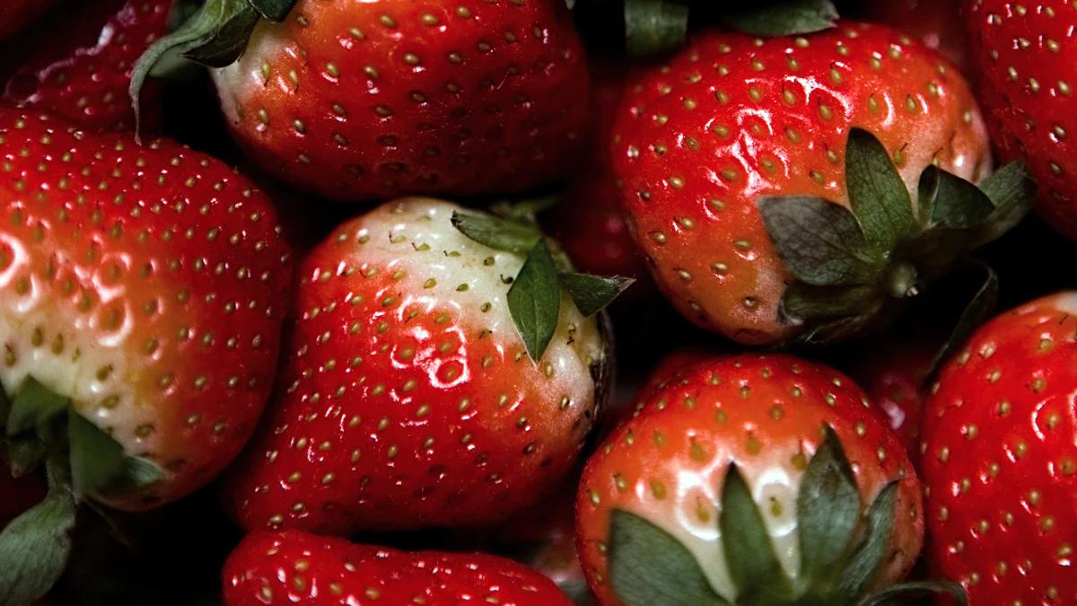 OpenAI Strawberry AI шығарылымына дайындалуда: не күту керек